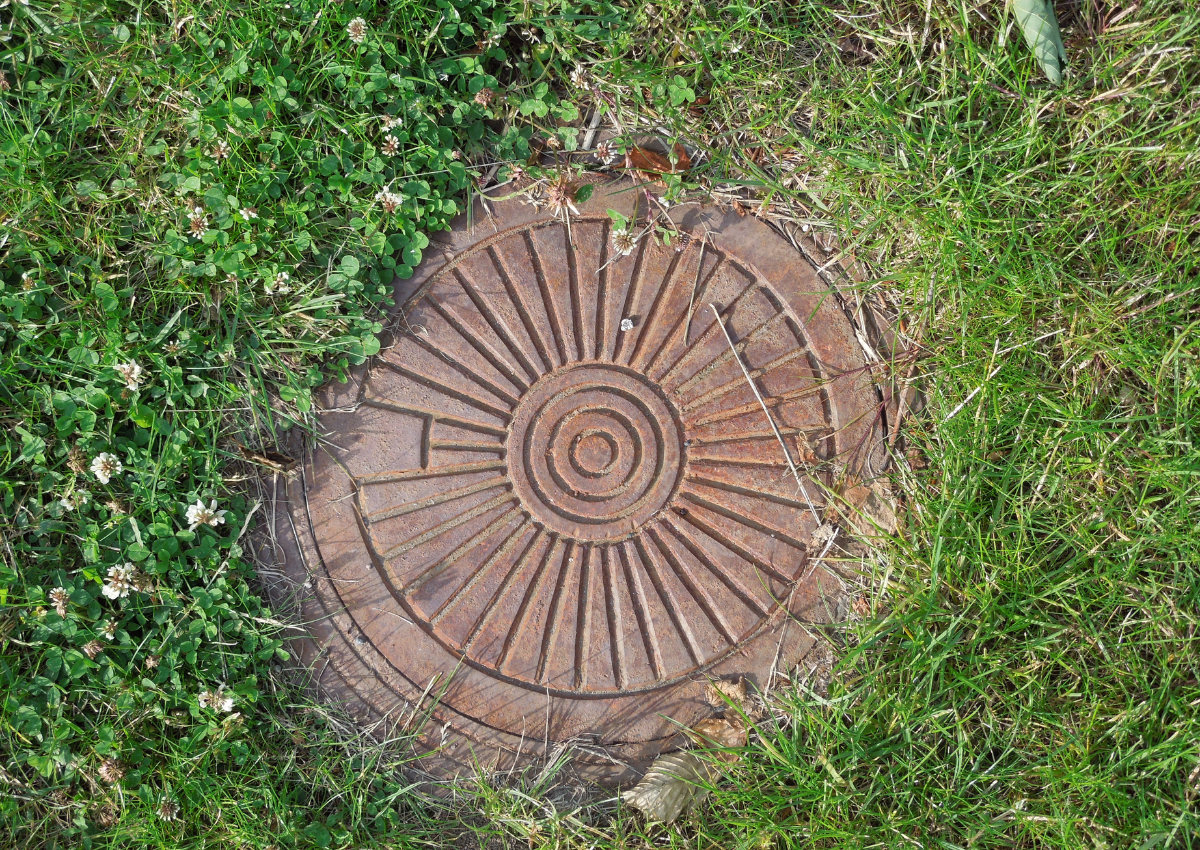 Differences Between Drain and Sewer